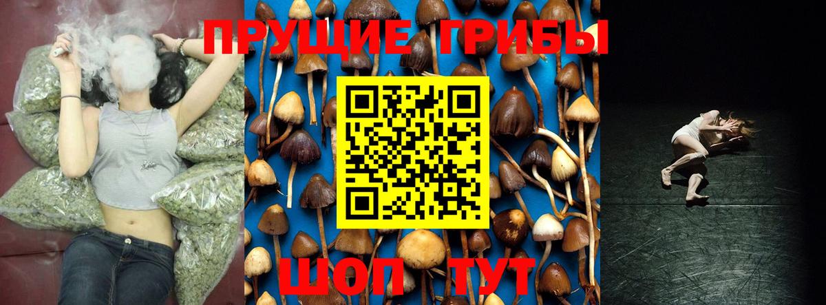 Псилоцибиновые грибы Psilocybe Аксай